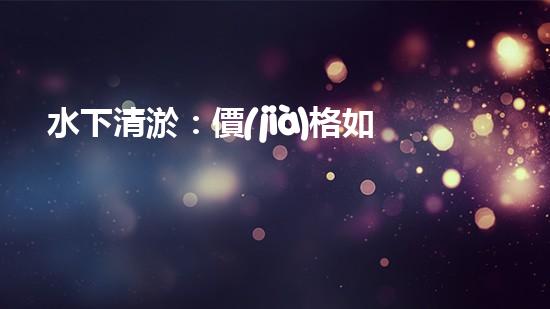 水下清淤：價(jià)格如何算？